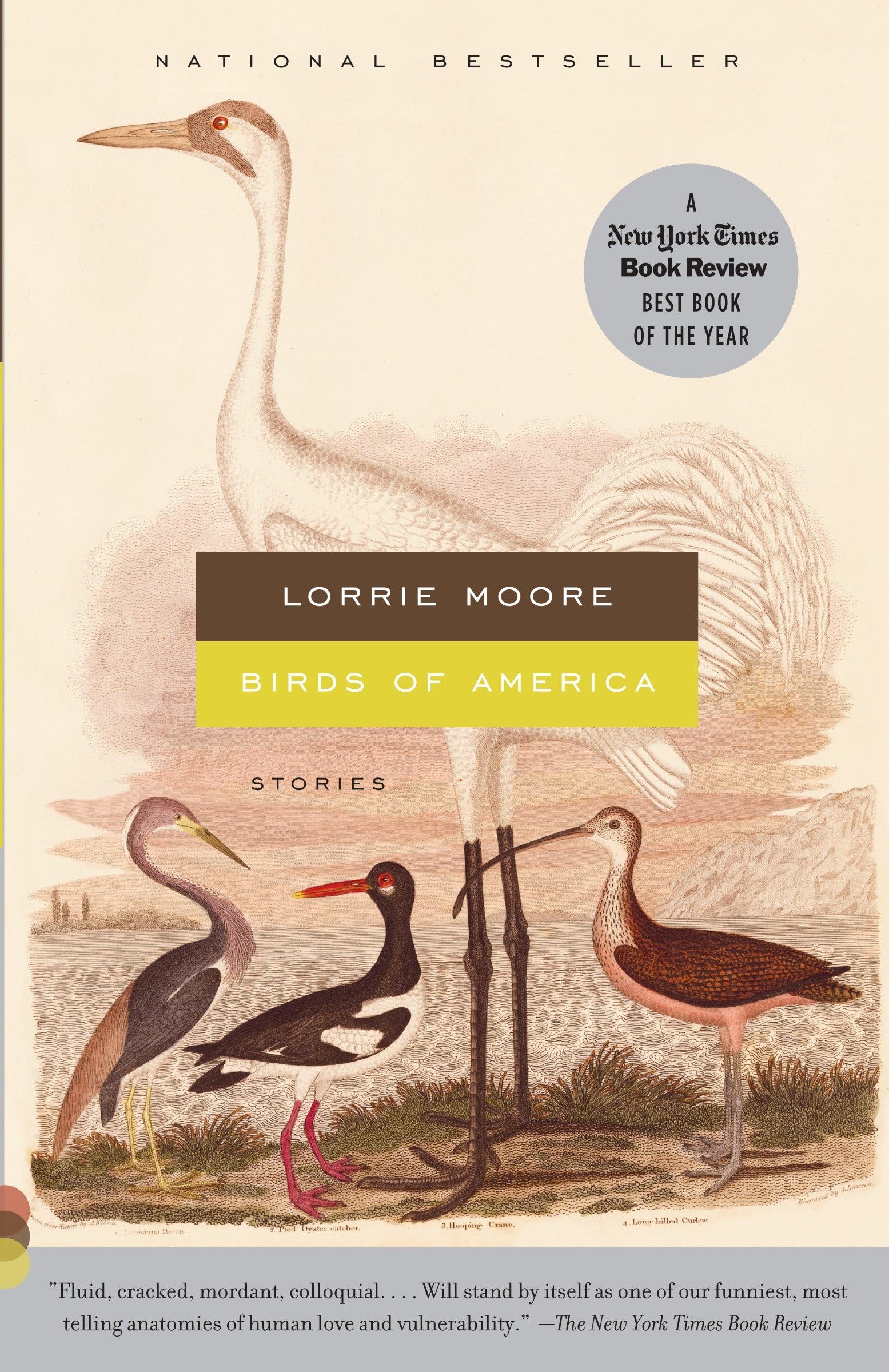 Cover of Birds of America