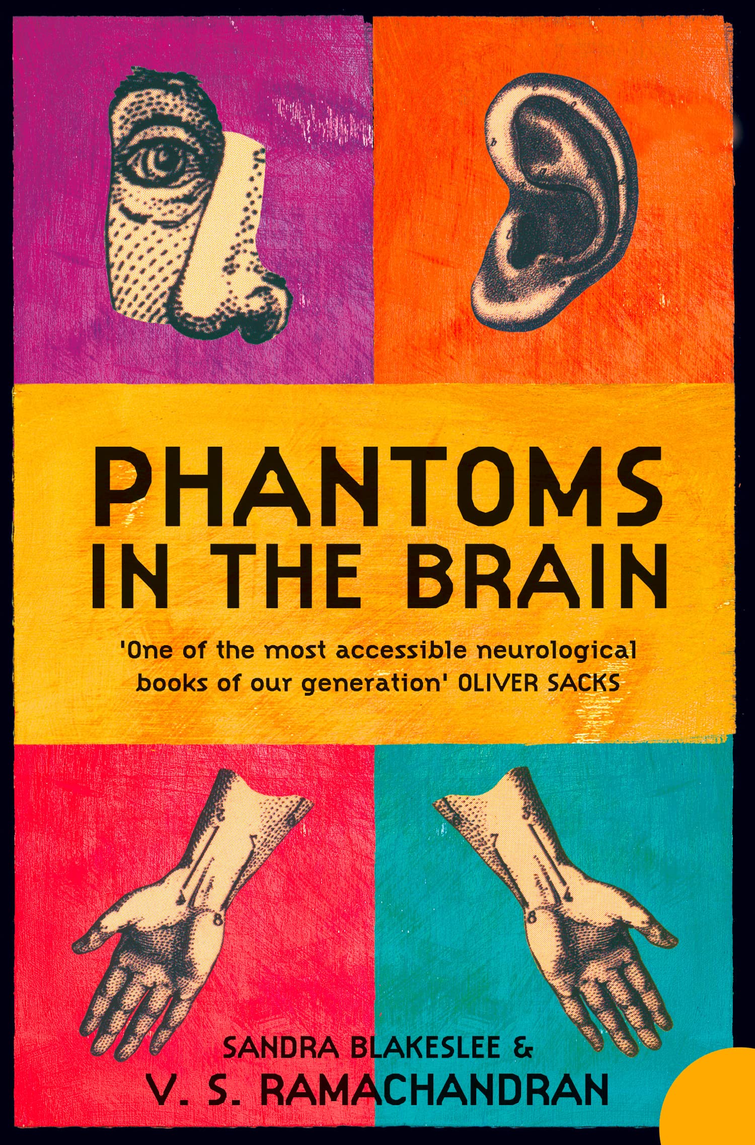 Cover of Phantoms in the Brain